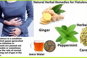 Quick Relief: Herbal Treatment for Flatulence & Bloating Safem Fabrication - Precision Engineering & Custom Manufacturing Solutions Quick Relief: Herbal Treatment for Flatulence & Bloating | Safem Fabrication - Precision Engineering & Custom Manufacturing Solutions