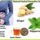 Quick Relief: Herbal Treatment for Flatulence &amp; Bloating | The Ultimate Herbal Remedies Guide: Natural Healing for a Healthier Life