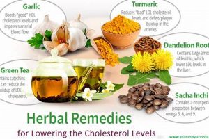 Natural Herbal Remedies for Lowering Cholesterol Fast Safem Fabrication - Precision Engineering & Custom Manufacturing Solutions Natural Herbal Remedies for Lowering Cholesterol Fast | Safem Fabrication - Precision Engineering & Custom Manufacturing Solutions