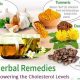 Natural Herbal Remedies for Lowering Cholesterol Fast | The Ultimate Herbal Remedies Guide: Natural Healing for a Healthier Life
