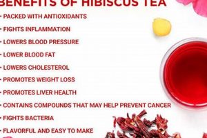 Unveiling Hibiscus Herbal Tea Benefits Today + Recipes Safem Fabrication - Precision Engineering & Custom Manufacturing Solutions Unveiling Hibiscus Herbal Tea Benefits Today + Recipes | Safem Fabrication - Precision Engineering & Custom Manufacturing Solutions