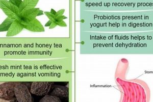 Best Herbal Tea for Gastroenteritis Relief: Remedies Safem Fabrication - Precision Engineering & Custom Manufacturing Solutions Best Herbal Tea for Gastroenteritis Relief: Remedies | Safem Fabrication - Precision Engineering & Custom Manufacturing Solutions