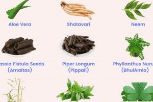 Natural Herbal Medicine for Fatty Liver Support Safem Fabrication - Precision Engineering & Custom Manufacturing Solutions Natural Herbal Medicine for Fatty Liver Support | Safem Fabrication - Precision Engineering & Custom Manufacturing Solutions
