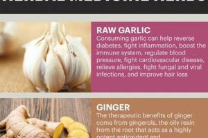 Unlock the Benefits: Herbal Products for Wellness Today Safem Fabrication - Precision Engineering & Custom Manufacturing Solutions Unlock the Benefits: Herbal Products for Wellness Today | Safem Fabrication - Precision Engineering & Custom Manufacturing Solutions