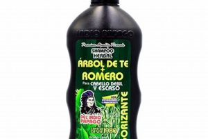 Best Herbal Shampoo Romero Arbol de Te: Benefits & Uses Safem Fabrication - Precision Engineering & Custom Manufacturing Solutions Best Herbal Shampoo Romero Arbol de Te: Benefits & Uses | Safem Fabrication - Precision Engineering & Custom Manufacturing Solutions