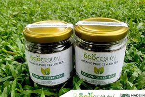 Discover Ceylon Herbal Wonders: Benefits & Uses Safem Fabrication - Precision Engineering & Custom Manufacturing Solutions Discover Ceylon Herbal Wonders: Benefits & Uses | Safem Fabrication - Precision Engineering & Custom Manufacturing Solutions