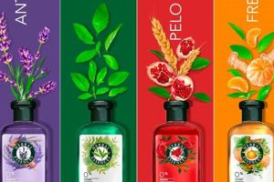 Best Herbal Essences Shampoo: Reviews & Benefits Safem Fabrication - Precision Engineering & Custom Manufacturing Solutions Best Herbal Essences Shampoo: Reviews & Benefits | Safem Fabrication - Precision Engineering & Custom Manufacturing Solutions