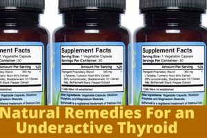 Natural Boost: Herbal Supplements for Underactive Thyroid Support Safem Fabrication - Precision Engineering & Custom Manufacturing Solutions Natural Boost: Herbal Supplements for Underactive Thyroid Support | Safem Fabrication - Precision Engineering & Custom Manufacturing Solutions