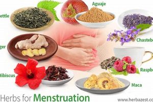 Natural Support: Herbal Remedies for Menstruation Relief Safem Fabrication - Precision Engineering & Custom Manufacturing Solutions Natural Support: Herbal Remedies for Menstruation Relief | Safem Fabrication - Precision Engineering & Custom Manufacturing Solutions