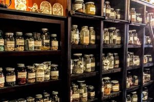 Buy Moddejonge's Herbals: Your Natural Wellness Source Safem Fabrication - Precision Engineering & Custom Manufacturing Solutions Buy Moddejonge's Herbals: Your Natural Wellness Source | Safem Fabrication - Precision Engineering & Custom Manufacturing Solutions