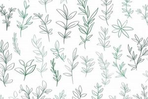 Discover: Herbal Element Benefits + Uses Guide Safem Fabrication - Precision Engineering & Custom Manufacturing Solutions Discover: Herbal Element Benefits + Uses Guide | Safem Fabrication - Precision Engineering & Custom Manufacturing Solutions
