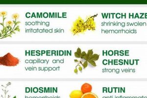 Natural Herbal Remedies for Hemorrhoids: Relief Guide Safem Fabrication - Precision Engineering & Custom Manufacturing Solutions Natural Herbal Remedies for Hemorrhoids: Relief Guide | Safem Fabrication - Precision Engineering & Custom Manufacturing Solutions