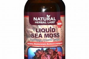 Your Guide to Natural Herbal Labs & Remedies Safem Fabrication - Precision Engineering & Custom Manufacturing Solutions Your Guide to Natural Herbal Labs & Remedies | Safem Fabrication - Precision Engineering & Custom Manufacturing Solutions