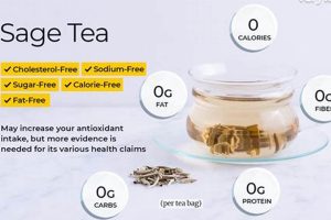 Tea Time Troubles? Sage Herbal Tea Side Effects Explored Safem Fabrication - Precision Engineering & Custom Manufacturing Solutions Tea Time Troubles? Sage Herbal Tea Side Effects Explored | Safem Fabrication - Precision Engineering & Custom Manufacturing Solutions