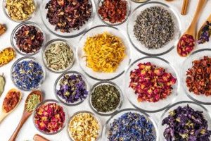 Solve Herbal Tea Variety Crossword Puzzles Today! Safem Fabrication - Precision Engineering & Custom Manufacturing Solutions Solve Herbal Tea Variety Crossword Puzzles Today! | Safem Fabrication - Precision Engineering & Custom Manufacturing Solutions