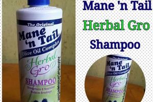 Does Herbal Gro Shampoo Work? Review + Alternatives Safem Fabrication - Precision Engineering & Custom Manufacturing Solutions Does Herbal Gro Shampoo Work? Review + Alternatives | Safem Fabrication - Precision Engineering & Custom Manufacturing Solutions