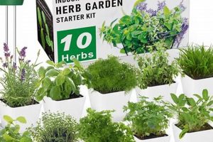 Find Herbal Gardens Near Me: Your Local Guide Safem Fabrication - Precision Engineering & Custom Manufacturing Solutions Find Herbal Gardens Near Me: Your Local Guide | Safem Fabrication - Precision Engineering & Custom Manufacturing Solutions