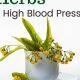 The Best Herbal Tea to Reduce Blood Pressure Naturally | The Ultimate Herbal Remedies Guide: Natural Healing for a Healthier Life