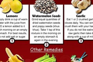 Natural Herbal Blood Pressure Remedies That Work! Safem Fabrication - Precision Engineering & Custom Manufacturing Solutions Natural Herbal Blood Pressure Remedies That Work! | Safem Fabrication - Precision Engineering & Custom Manufacturing Solutions