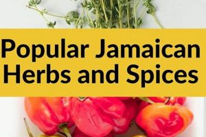 Discover Jamaica Herbal: Benefits & Uses! Safem Fabrication - Precision Engineering & Custom Manufacturing Solutions Discover Jamaica Herbal: Benefits & Uses! | Safem Fabrication - Precision Engineering & Custom Manufacturing Solutions