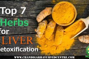 Best Herbal Liver Cleansing Guide: Detox & Restore Safem Fabrication - Precision Engineering & Custom Manufacturing Solutions Best Herbal Liver Cleansing Guide: Detox & Restore | Safem Fabrication - Precision Engineering & Custom Manufacturing Solutions