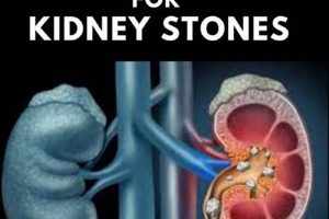 Natural Kidney Stone Remedies: Herbal Dissolve Guide Safem Fabrication - Precision Engineering & Custom Manufacturing Solutions Natural Kidney Stone Remedies: Herbal Dissolve Guide | Safem Fabrication - Precision Engineering & Custom Manufacturing Solutions