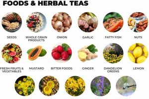 Natural : Herbal Cure for Bronchitis Relief Safem Fabrication - Precision Engineering & Custom Manufacturing Solutions Natural : Herbal Cure for Bronchitis Relief | Safem Fabrication - Precision Engineering & Custom Manufacturing Solutions