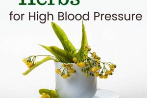Best Tea? What Herbal Tea Lowers Blood Pressure Naturally Safem Fabrication - Precision Engineering & Custom Manufacturing Solutions Best Tea? What Herbal Tea Lowers Blood Pressure Naturally | Safem Fabrication - Precision Engineering & Custom Manufacturing Solutions