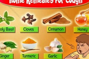 Natural Herbal Treatment for Cough Relief Safem Fabrication - Precision Engineering & Custom Manufacturing Solutions Natural Herbal Treatment for Cough Relief | Safem Fabrication - Precision Engineering & Custom Manufacturing Solutions