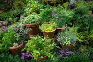 Grow Your Own: Small Herbal Garden Ideas & Tips Safem Fabrication - Precision Engineering & Custom Manufacturing Solutions Grow Your Own: Small Herbal Garden Ideas & Tips | Safem Fabrication - Precision Engineering & Custom Manufacturing Solutions