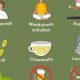 Top Herbal Remedies: Best Anxiety Medication Options | The Ultimate Herbal Remedies Guide: Natural Healing for a Healthier Life