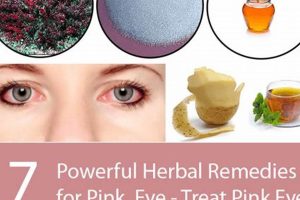 Natural Herbal Treatment for Pink Eye Relief Safem Fabrication - Precision Engineering & Custom Manufacturing Solutions Natural Herbal Treatment for Pink Eye Relief | Safem Fabrication - Precision Engineering & Custom Manufacturing Solutions