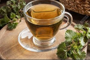 Best Herbal Tea Cup Picks: Brew & Sip! Safem Fabrication - Precision Engineering & Custom Manufacturing Solutions Best Herbal Tea Cup Picks: Brew & Sip! | Safem Fabrication - Precision Engineering & Custom Manufacturing Solutions