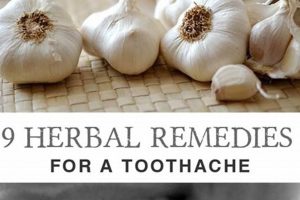 Fast Relief: Herbal Remedies for Toothache Pain Safem Fabrication - Precision Engineering & Custom Manufacturing Solutions Fast Relief: Herbal Remedies for Toothache Pain | Safem Fabrication - Precision Engineering & Custom Manufacturing Solutions