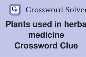 Herbal Help: Plant Medicine Crossword Clues & Solutions Safem Fabrication - Precision Engineering & Custom Manufacturing Solutions Herbal Help: Plant Medicine Crossword Clues & Solutions | Safem Fabrication - Precision Engineering & Custom Manufacturing Solutions
