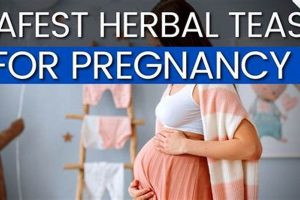 Herbal Tea & Pregnancy: Can I Drink Herbal Tea Safely? Safem Fabrication - Precision Engineering & Custom Manufacturing Solutions Herbal Tea & Pregnancy: Can I Drink Herbal Tea Safely? | Safem Fabrication - Precision Engineering & Custom Manufacturing Solutions