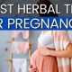 Herbal Tea & Pregnancy: Can I Drink Herbal Tea Safely? | The Ultimate Herbal Remedies Guide: Natural Healing for a Healthier Life