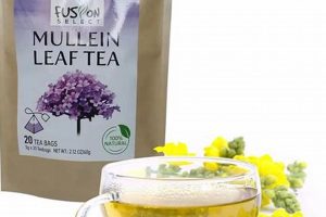 Mullein Herbal Tea Benefits: A Soothing Brew! Safem Fabrication - Precision Engineering & Custom Manufacturing Solutions Mullein Herbal Tea Benefits: A Soothing Brew! | Safem Fabrication - Precision Engineering & Custom Manufacturing Solutions