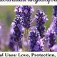 Unlock Lavender's Herbal Benefits: Uses & Secrets | The Ultimate Herbal Remedies Guide: Natural Healing for a Healthier Life