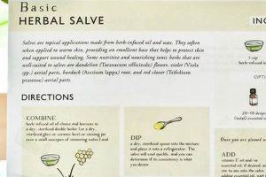 Easy Herbal Remedy Recipes: Natural Healing Safem Fabrication - Precision Engineering & Custom Manufacturing Solutions Easy Herbal Remedy Recipes: Natural Healing | Safem Fabrication - Precision Engineering & Custom Manufacturing Solutions