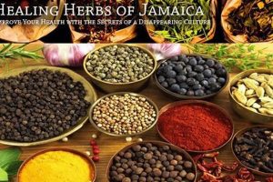 Discover Jamaican Herbal Remedies: Benefits & Uses Safem Fabrication - Precision Engineering & Custom Manufacturing Solutions Discover Jamaican Herbal Remedies: Benefits & Uses | Safem Fabrication - Precision Engineering & Custom Manufacturing Solutions