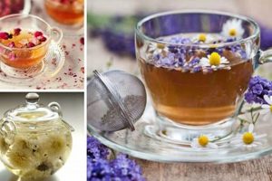 Best Herbal Flower Tea Blends + Benefits Safem Fabrication - Precision Engineering & Custom Manufacturing Solutions Best Herbal Flower Tea Blends + Benefits | Safem Fabrication - Precision Engineering & Custom Manufacturing Solutions