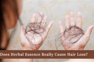 Herbal Essences & Hair Loss: What's the Truth? Safem Fabrication - Precision Engineering & Custom Manufacturing Solutions Herbal Essences & Hair Loss: What's the Truth? | Safem Fabrication - Precision Engineering & Custom Manufacturing Solutions