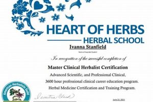 Earn Your Herbalism Degree: A Natural Path Forward Safem Fabrication - Precision Engineering & Custom Manufacturing Solutions Earn Your Herbalism Degree: A Natural Path Forward | Safem Fabrication - Precision Engineering & Custom Manufacturing Solutions