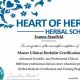 Earn Your Herbalism Degree: A Natural Path Forward | The Ultimate Herbal Remedies Guide: Natural Healing for a Healthier Life