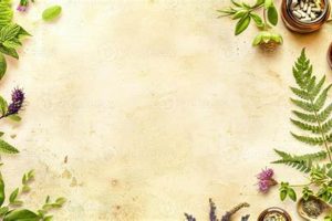 The Ultimate Herbal Background Guide: Origins & Uses Safem Fabrication - Precision Engineering & Custom Manufacturing Solutions The Ultimate Herbal Background Guide: Origins & Uses | Safem Fabrication - Precision Engineering & Custom Manufacturing Solutions