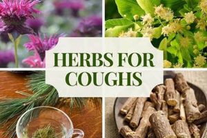 Top Herbal Remedy for Cough: Natural Relief Safem Fabrication - Precision Engineering & Custom Manufacturing Solutions Top Herbal Remedy for Cough: Natural Relief | Safem Fabrication - Precision Engineering & Custom Manufacturing Solutions
