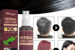 Natural Herbal Grey Hair Fix: Restore Your Hair's Color Safem Fabrication - Precision Engineering & Custom Manufacturing Solutions Natural Herbal Grey Hair Fix: Restore Your Hair's Color | Safem Fabrication - Precision Engineering & Custom Manufacturing Solutions
