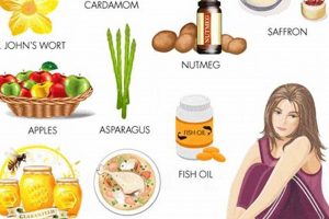 Natural Herbal Therapy for Depression: Boost Your Mood Safem Fabrication - Precision Engineering & Custom Manufacturing Solutions Natural Herbal Therapy for Depression: Boost Your Mood | Safem Fabrication - Precision Engineering & Custom Manufacturing Solutions