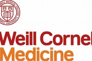 Learn: Cornell University Herbal Medicine Guide Safem Fabrication - Precision Engineering & Custom Manufacturing Solutions Learn: Cornell University Herbal Medicine Guide | Safem Fabrication - Precision Engineering & Custom Manufacturing Solutions